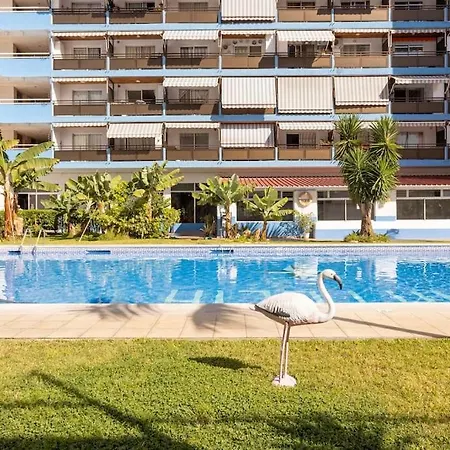 Daire Comodo Estudio Playa Jardin