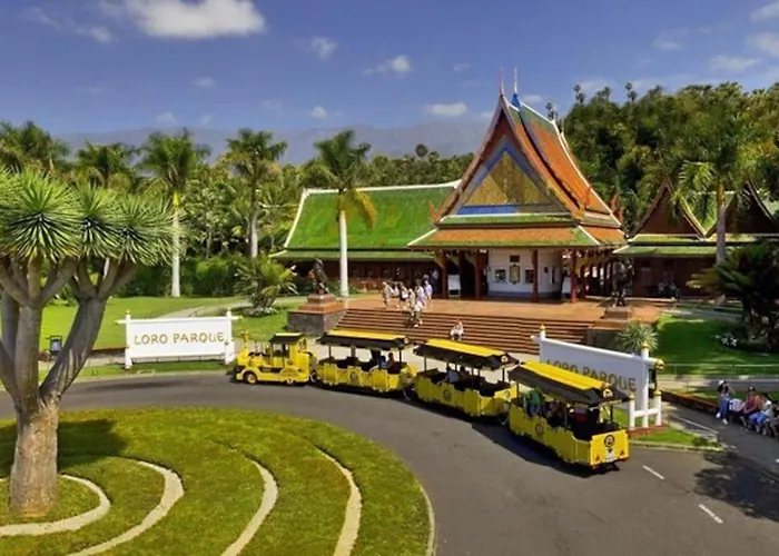 Comodo Estudio Playa Jardin * Puerto de la Cruz (Tenerife)