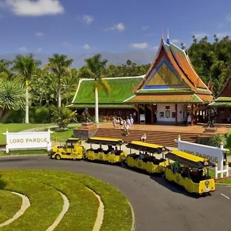 Comodo Estudio Playa Jardin * Puerto de la Cruz (Tenerife)